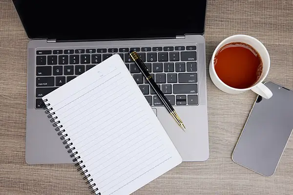 广东旅游哪里有樱花看